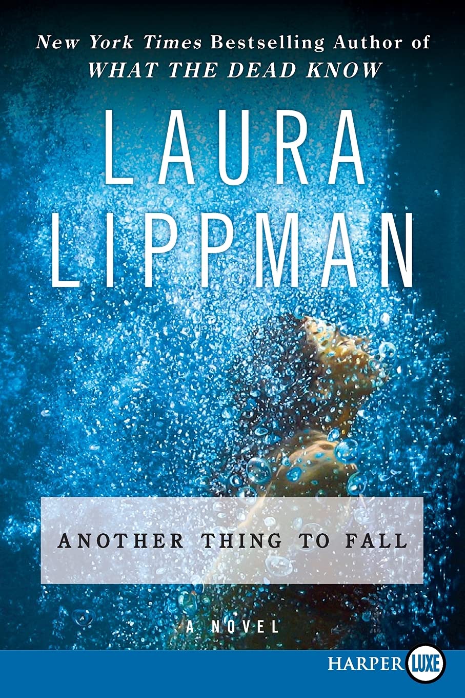 Another Thing to Fall (Tess Monaghan Mysteries)