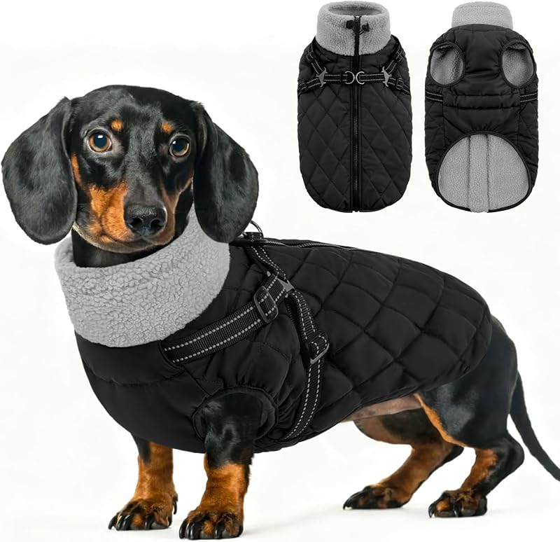 Casaco de inverno para cães Queenmore com forro de fleece e peitoral integrado – XS