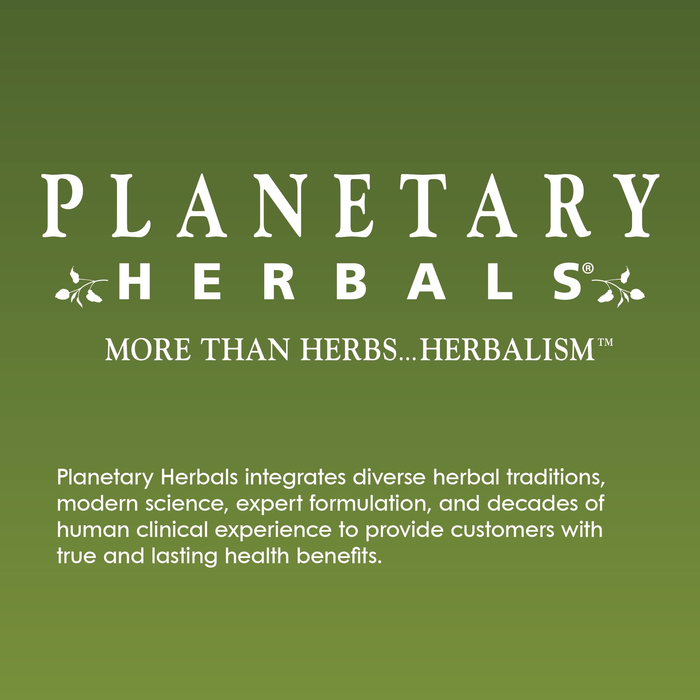 Planetary Herbals Triphala Internal Cleanser 1000mg for GI Tract Wellness - 180 Tablets — Amazon image 5