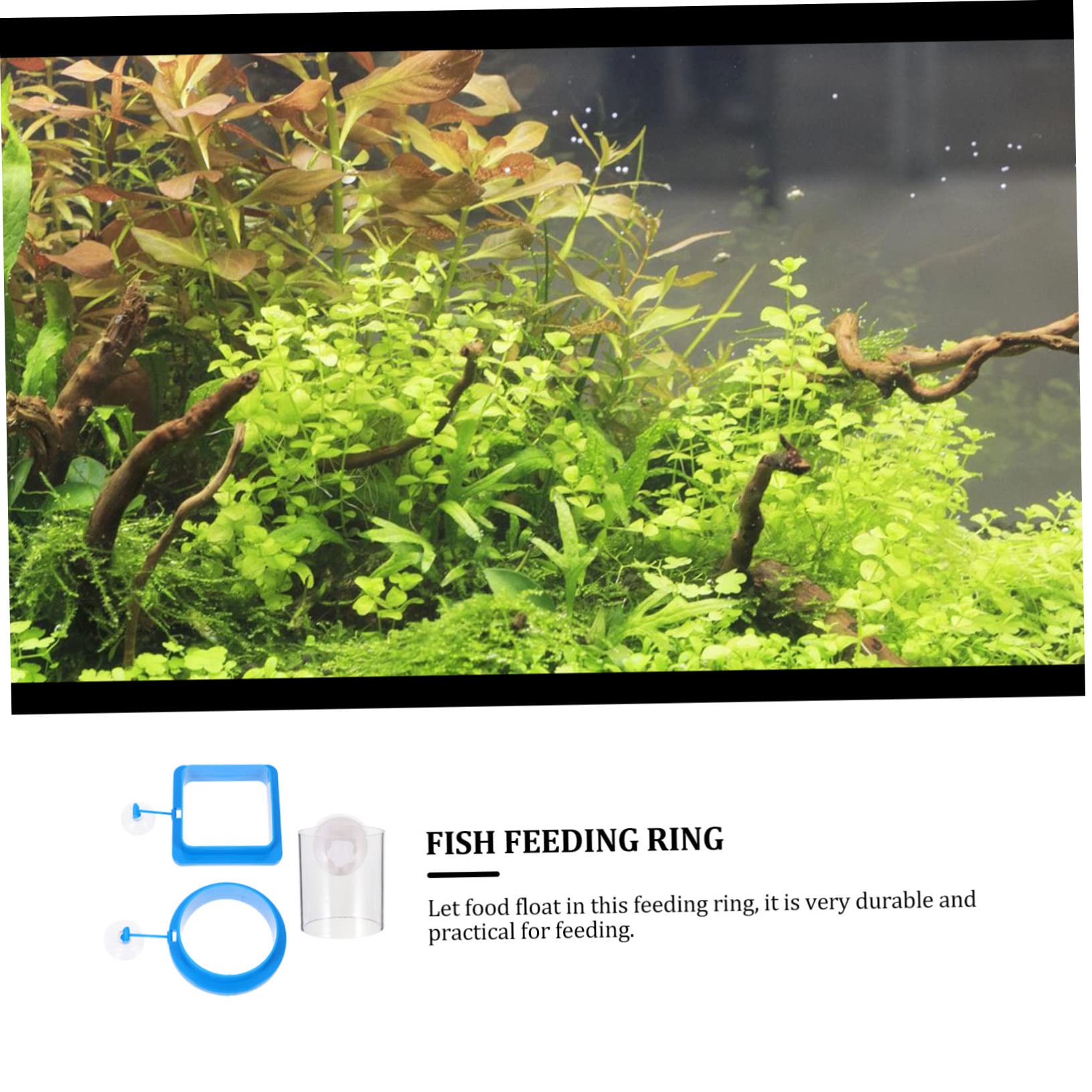Happyyami 9stücke Teiliges Fischfutterringe Schwimmende Futterspender Für Aquarien Geeignet Für Garnelen Und Tropische Fische Installieren Design Für Süß Und Salzwasser
