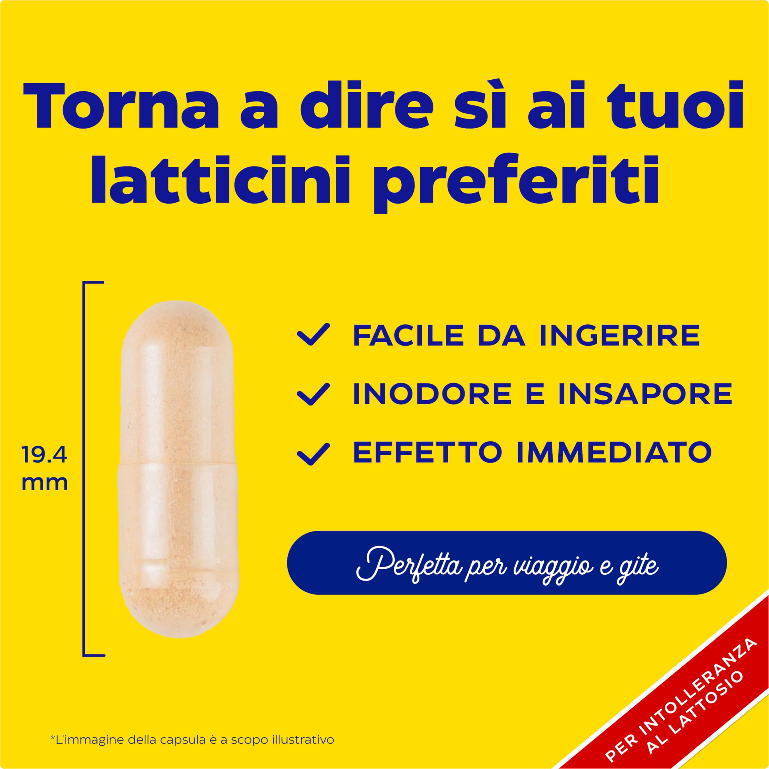 Enzymedica, Lacto, Integratore Alimentare a Base di Enzimi, Indicato per Intolleranza a Lattosio e Caseina, Contro Irregolarità e Gonfiore Addominale, Gluten Free, Senza Lattosio, Vegano, 90 Capsule