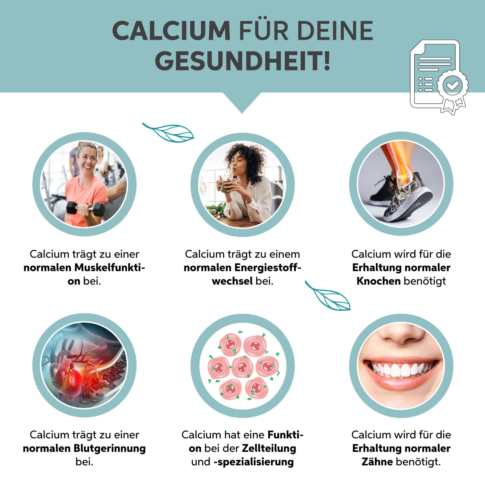 Sango Meereskoralle Pulver 1kg | Hochdosiert mit 34% Calzium | Premium Meeres Korallenpulver | Natürliche Quelle für Kalzium und Magnesium | Das Original aus Japan Okinawa