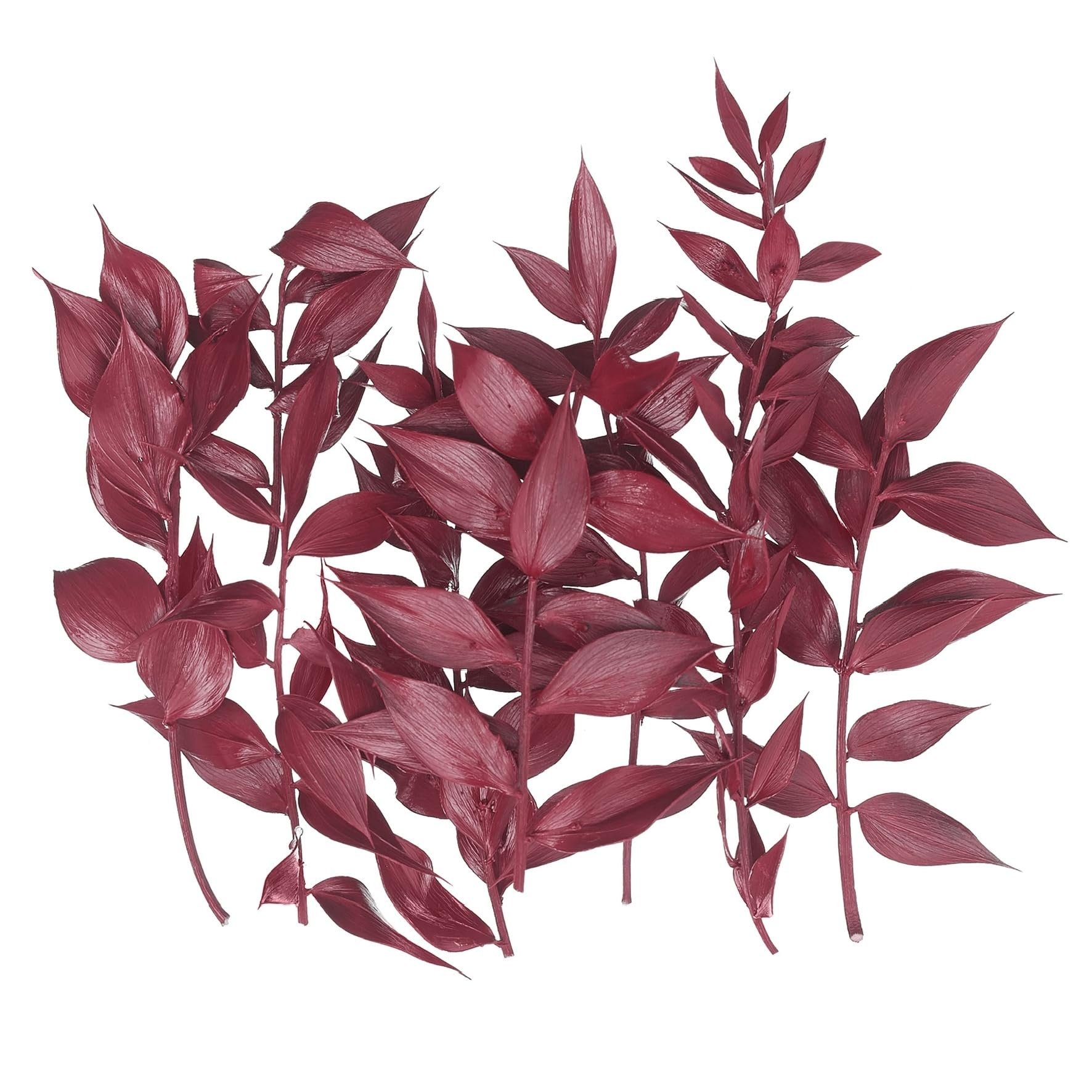 The Baked Studio - Original Dried Flower Ruscus Set For Cake & Cupcake Decorating & Others Crafts (Red), 1 Box