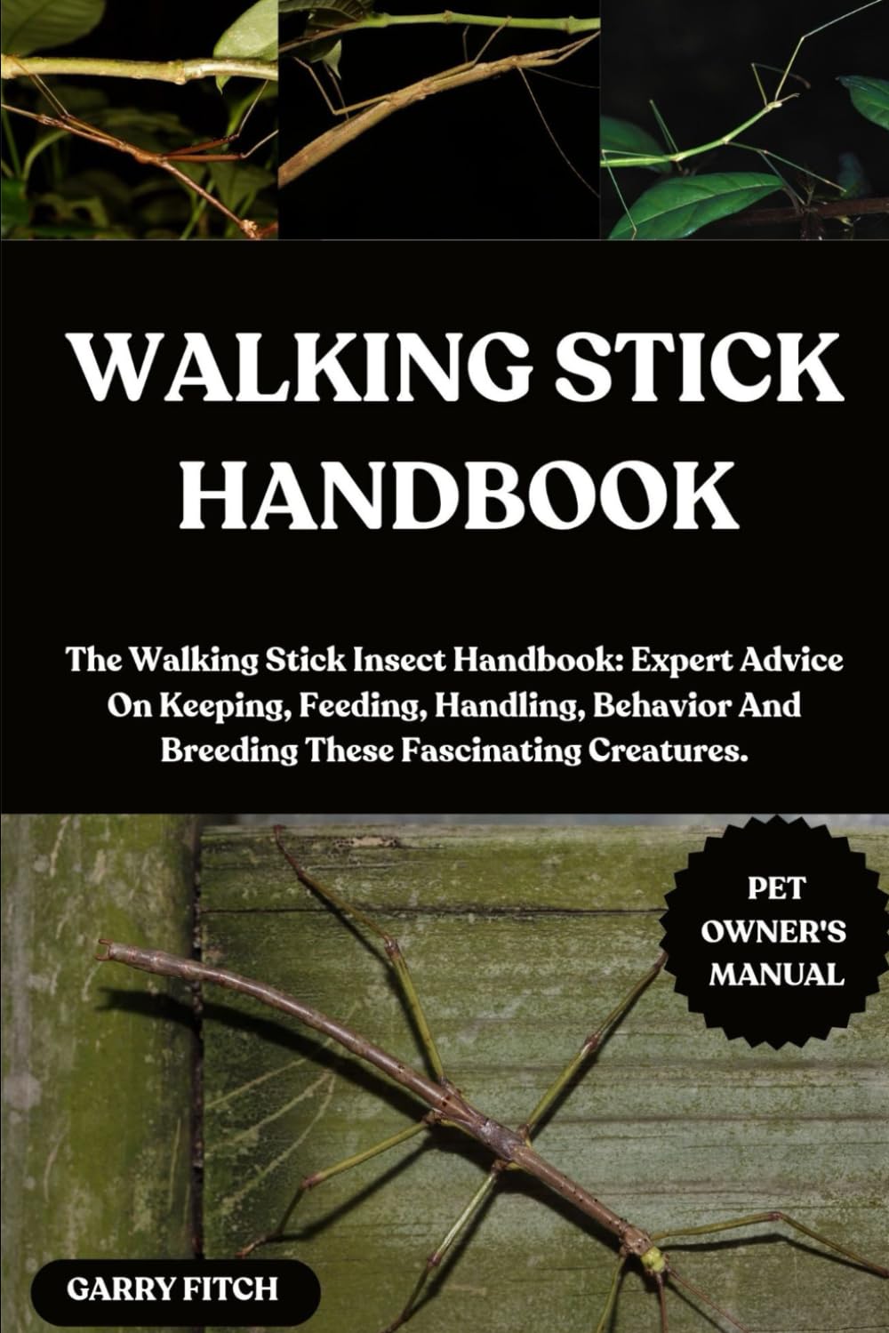 WALKING STICK HANDBOOK: The Walking Stick Insect Handbook: Expert Advice On Keeping, Feeding, Handling, Behavior And Breeding These Fascinating Creatures.