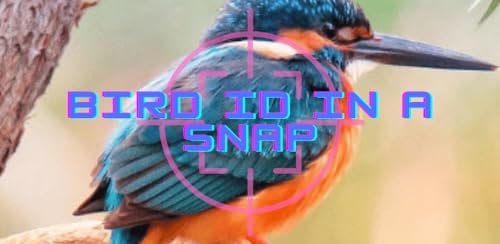 Bird Identification By Picture