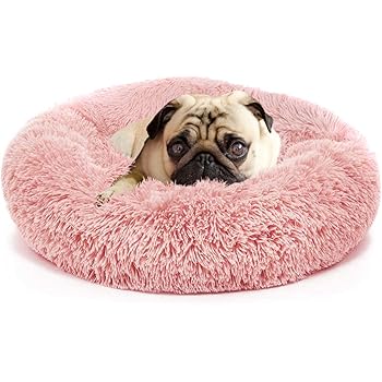 small dog cushion