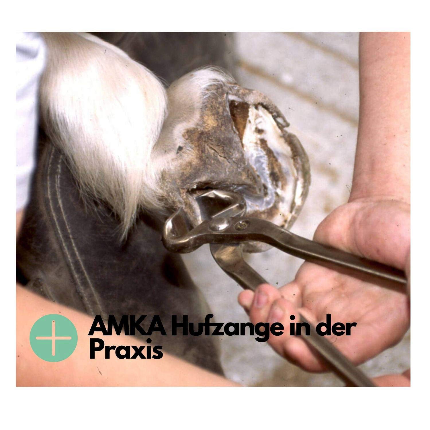 Amesbichler AMKA - Alicates para cortar herradura (39 cm, acero inoxidable, herramienta para el cuidado de tus caballos)