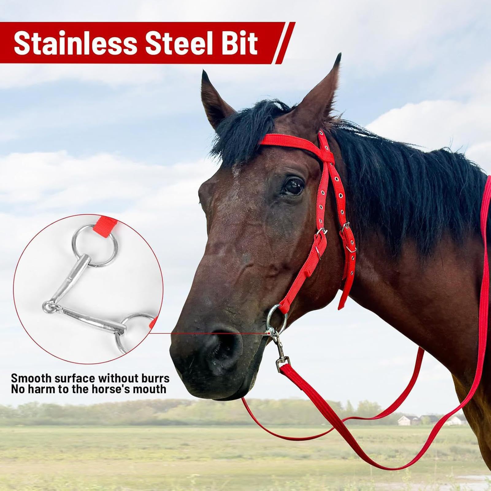 Brida para caballo: riendas ajustables, cabecero antidesgarro, frontalera con forro suave | Diseño de banda nasal de nailon duradero, cómodo equipo de equitación ecuestre para caballos al aire libre,