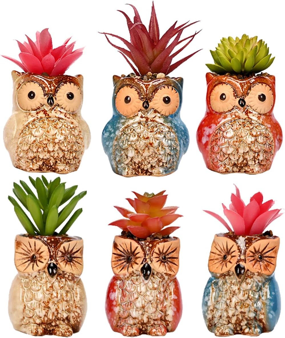 6 Pcs Mini 2.5 Inches Colorful Owl Pots, Little Ceramic Succulent Owl Planters with Drainage Holes
