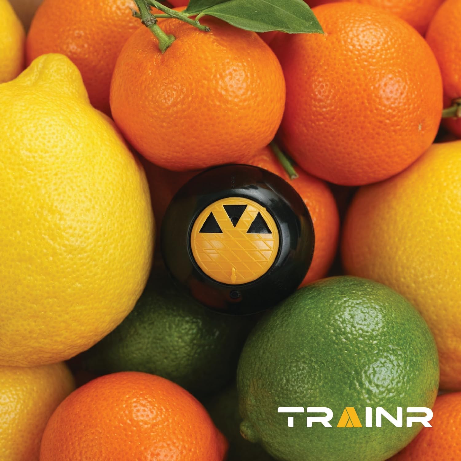 Citrus Breeze Deodorizing Balls 6-Pack TRNR-DB-CB, Shoe Deodorizer Balls and Gym Bag Odor Eliminator for Lockers, Closets and Sports Equipment with Adjustable Twist Vent Scent Control