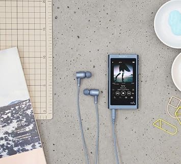 Sony A Series NW-A50 Walkman