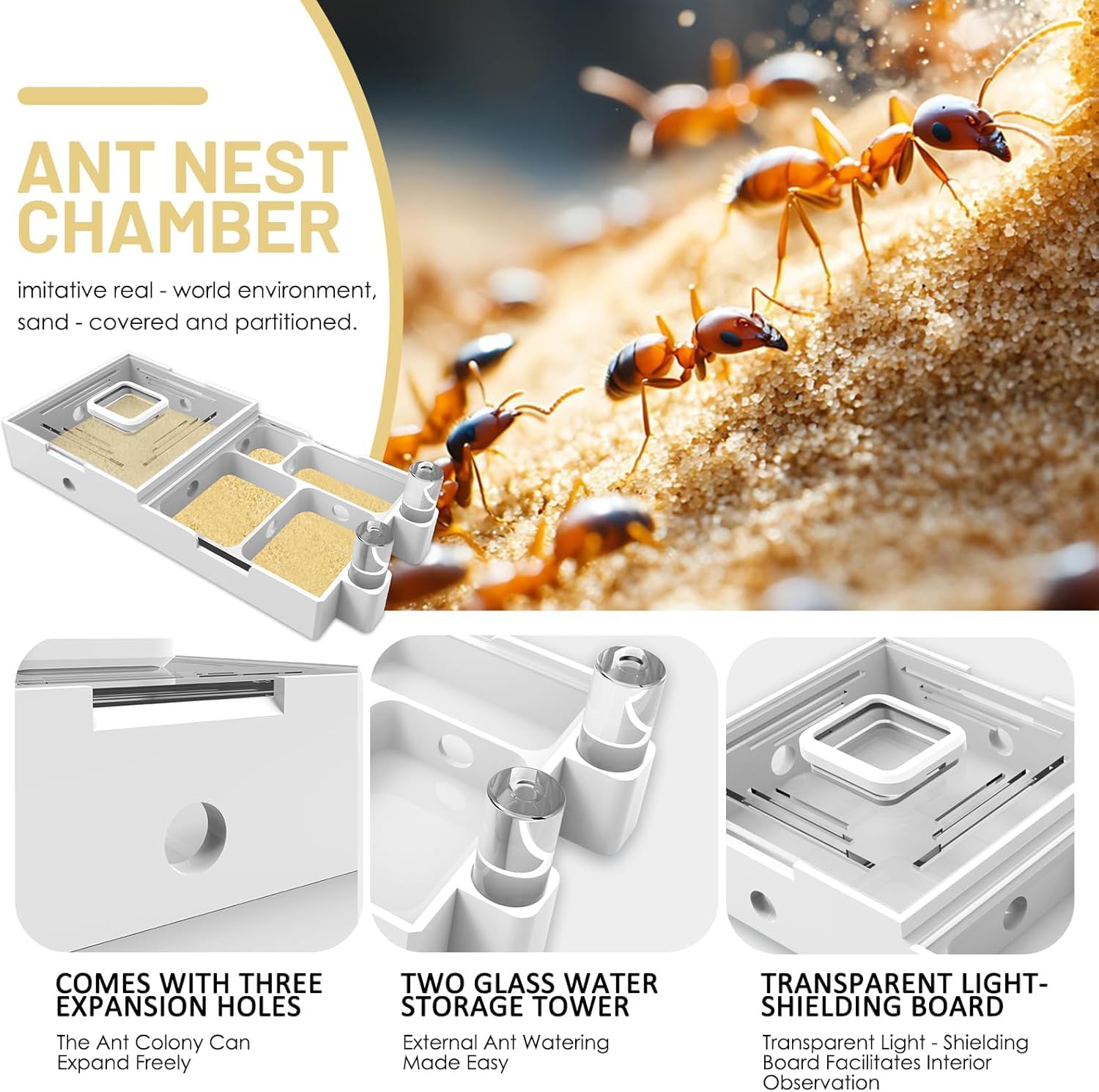 Nest Farm for Live Ants and Queen - Image 3