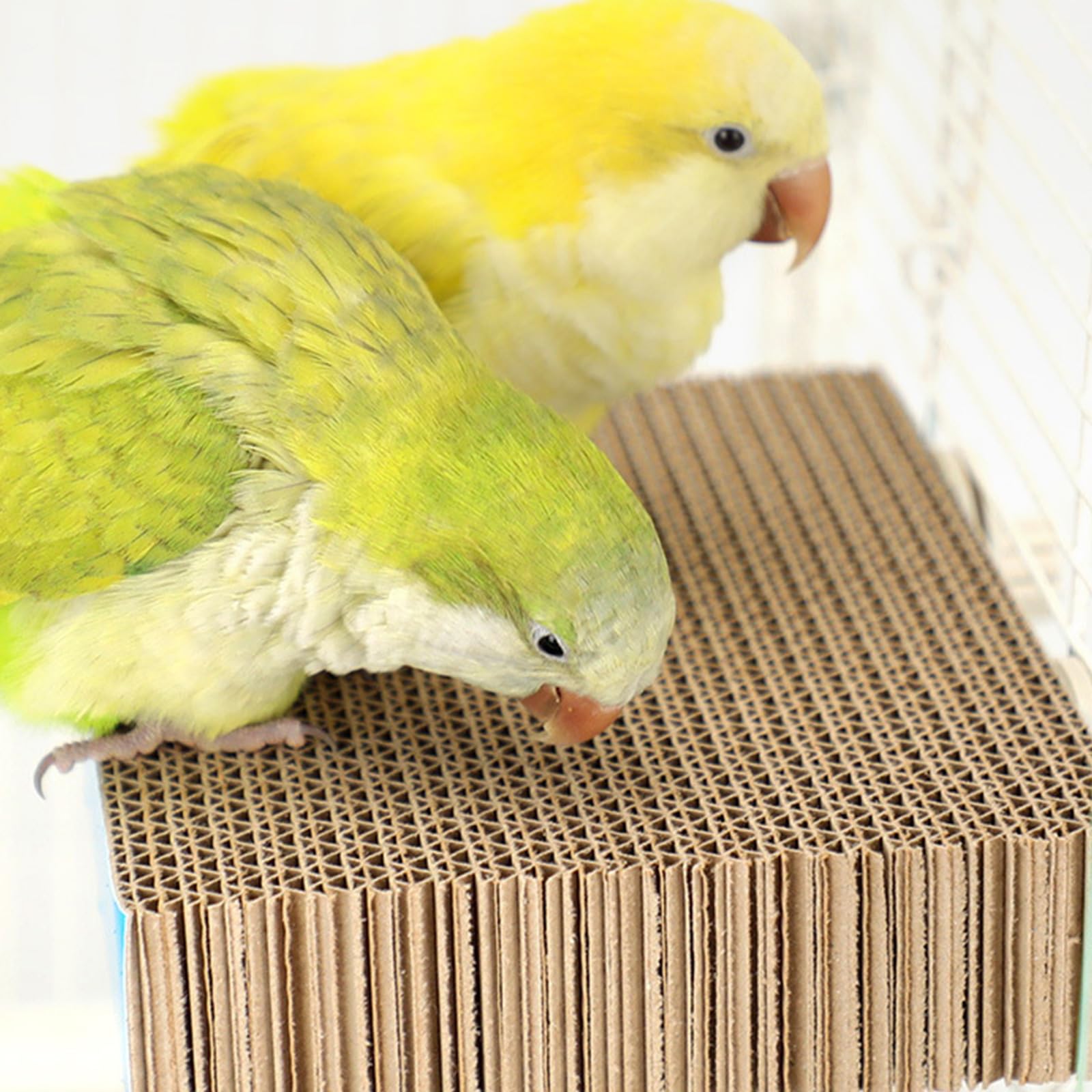 Vogelsitzstangen Plattform aus Wellpappe, sicherer Ständer für Sittiche, Nymphensittiche, Papageien, Käfigzubehör, Vogelübungsspielzeug, Sitzstangenständer