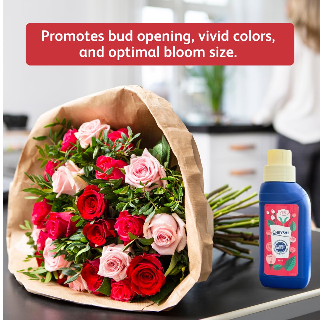 Chrysal Cut Flower Rose Food (10ml/L Bottle) - Floral Supplies for Fresh Flowers - Increases Vase Life - Ideal Florist Supplies (3 Pack)