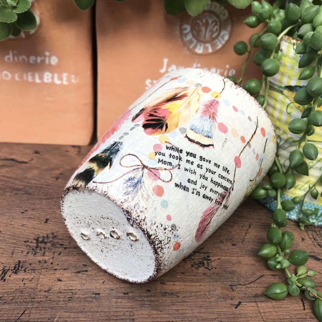 Amazon.co.jp: ご購入品 リメイク鉢 プラスチック鉢 ハンギング
