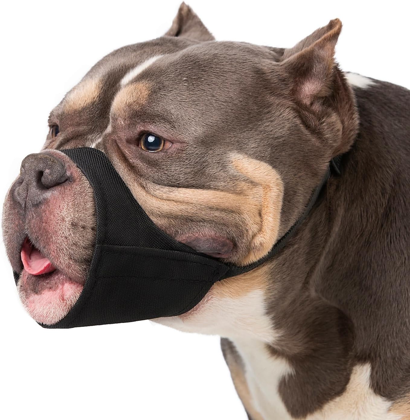 Winmany Large Medium Dog Muzzles, Short Snout Dogs Muzzle to Prevent Biting Barking Eating, Fit for Bully Boxer Chow Chow for Grooming Walking (M)
