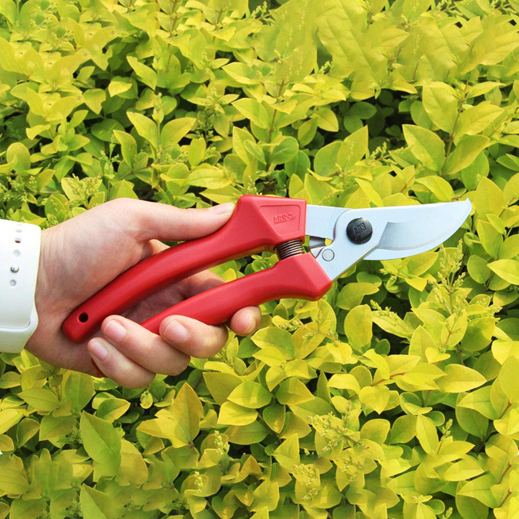 Attrezzo per innesto da giardino Cesoie per potatura di alberi da frutto Potatori per bonsai Cesoie da giardino Cesoie da giardinaggio, dispositivo di blocco di sicurezza, con molla di ricambio e