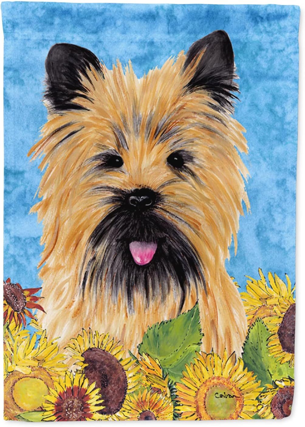 large cairn terrier