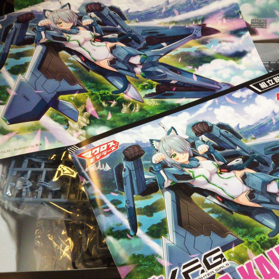 マクロスモデラーズ 二点セット カイロス & ジークフリート Amazon.co.jp: マクロスモデラーズ 二点セット カイロス