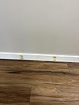 Review Image by Amazon Customer