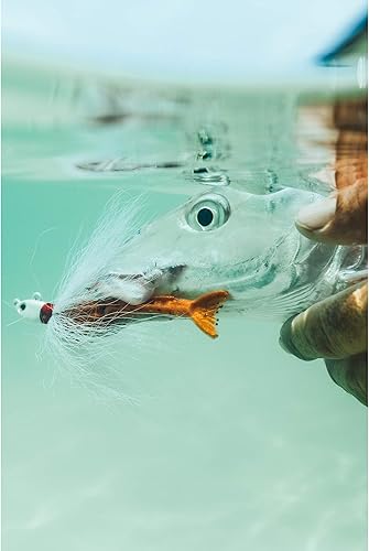 Miniatura 8 de Berkley Gulp! Shrimp Saltwater Fishing Soft Bait Camarones Naturales,Púrpura cajún/Chartreuse,Chartreuse,New Penny,New Penny Fleck,New