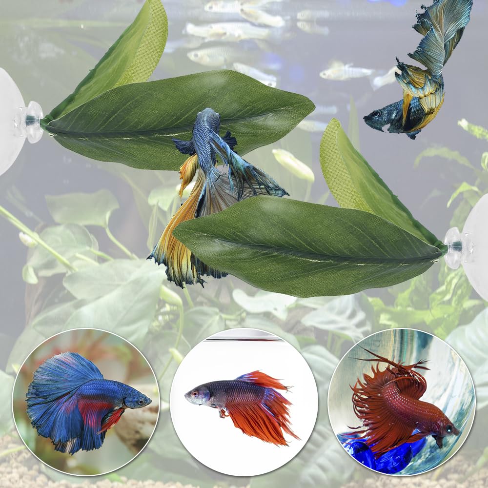 MiOYOOW Feuille Lit Betta, Coussin Feuilles Plantes d'aquarium avec Ventouse Décorations Feuilles Plantes d'aquarium pour Simuler l'habitat de Repos des Poissons
