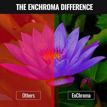 Enchroma Ellis Color Blind Glasses - Correcting & Enhancing for Outdoor Use, Deutan and Protan Color Blindness