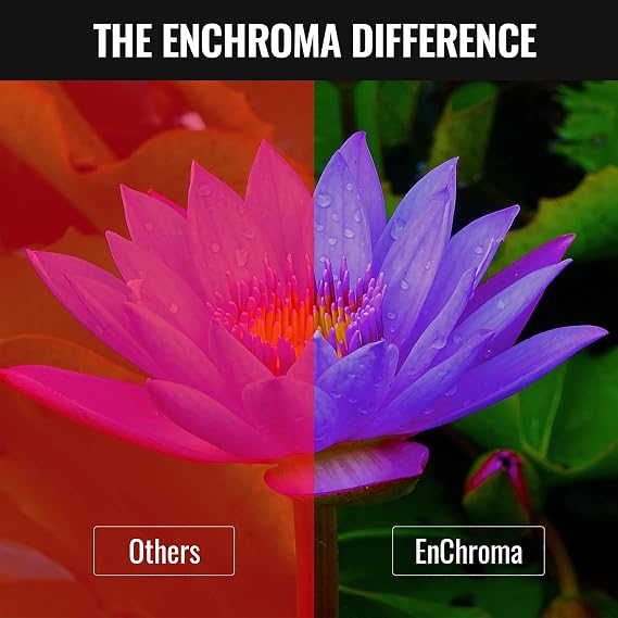 Enchroma Ellis Color Blind Glasses - Correcting & Enhancing for Outdoor Use, Deutan and Protan Color Blindness