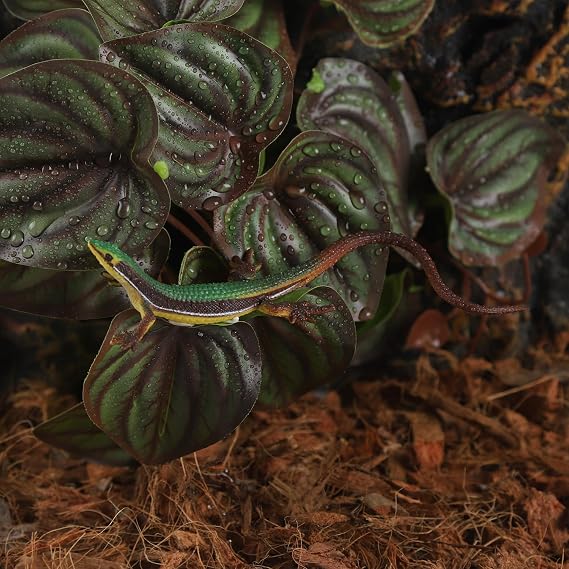 IBWell Fake Reptile Plants for Reptile Terrarium Plants, Reptile Plant Decor, Turtle Tank Plants with Suction Cup