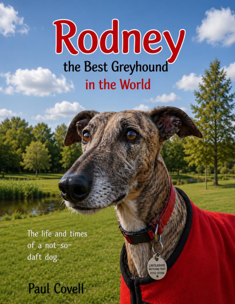 Rodney the Best Greyhound in the World: Book One in the Series