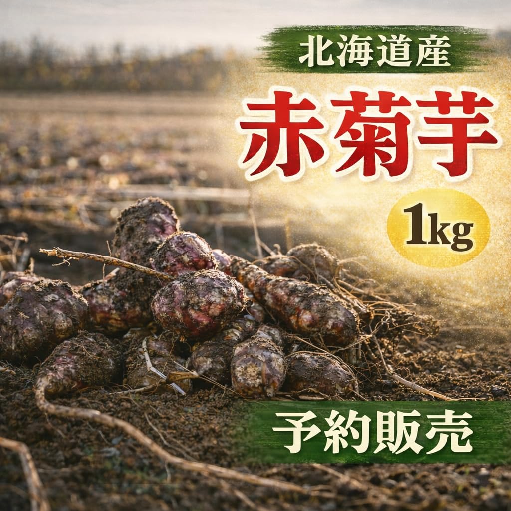 Amazon.co.jp: 菊芋 北海道産 赤菊芋（紫菊芋系統）1kg 生菊芋 土付き