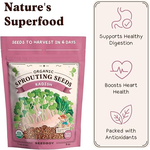 Miniatura 4 de Seedboy Semillas de rábano orgánicas sin GMO para brotes - Semillas de microverdes cultivadas en EE. UU. - Bolsa de 8 oz produce 8 cuartos  24