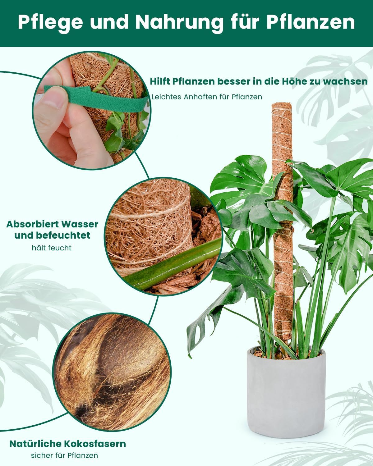 6 Stück 42CM Moosstab Monstera, Garden Sage Verlängerba Monstera Rankhilfe für Pflanzen, Kokos Pflanzenstab Monstera Moss Pole für Garten Kletterpflanzen Pflanzengitter (8 * 42cm)