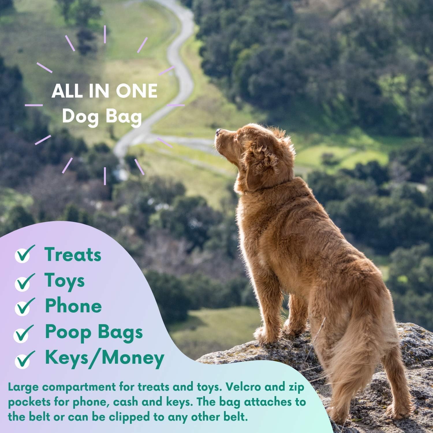 Dog Treat Bag - New Larger Training Treat Pouch Bag With Poo Bag Dispenser - strong Magnetic Closure, adjustable Reflective Belt Or Shoulder Strap - The Perfect Dog Walking Bag 3 712RWSubkGL. AC SL1500