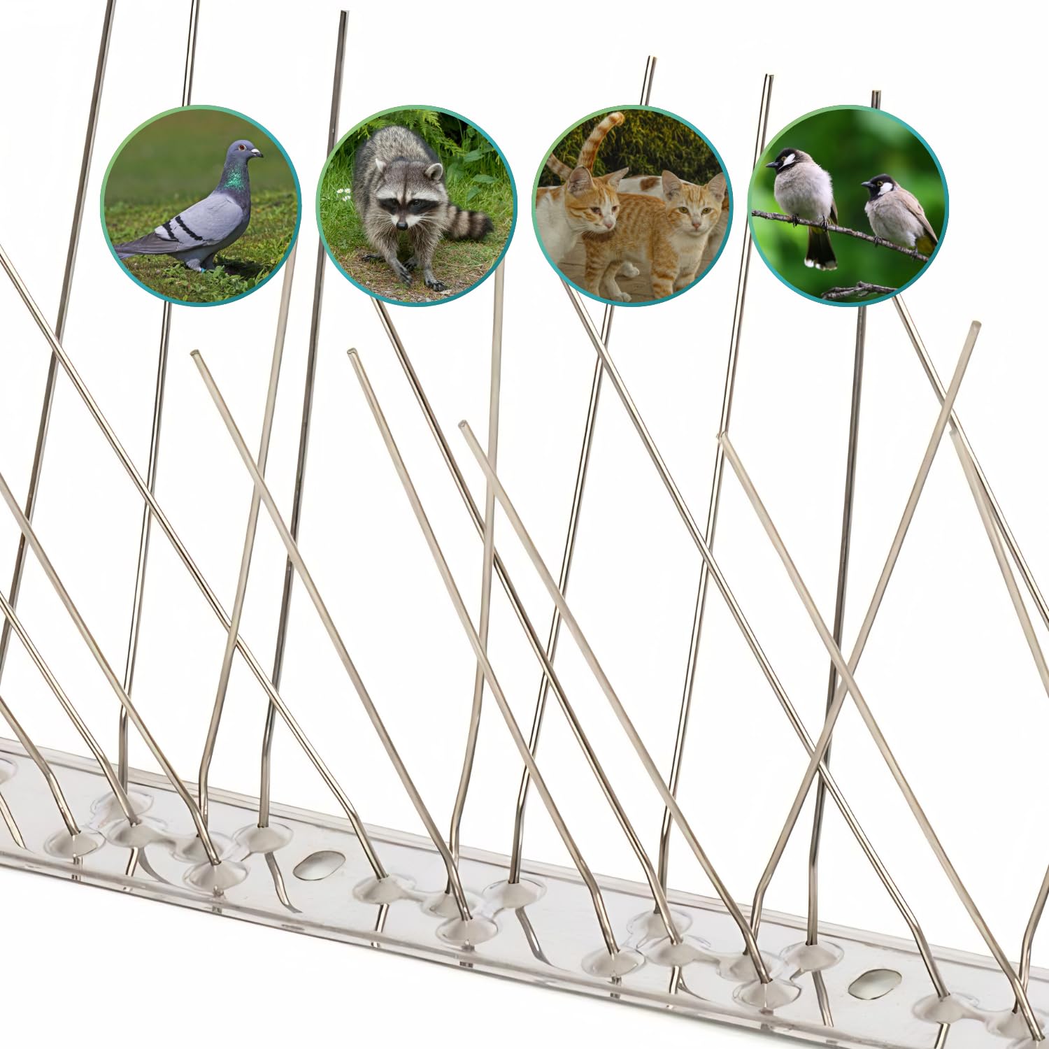 PALUPLUS Set 6 Metri di Dissuasori per Piccioni e Uccelli, 6 Moduli da 100 cm con 80 Spuntoni in Acciaio Inox, Scacciauccelli per balconi, tetti, e Giardini -1502F -1,3