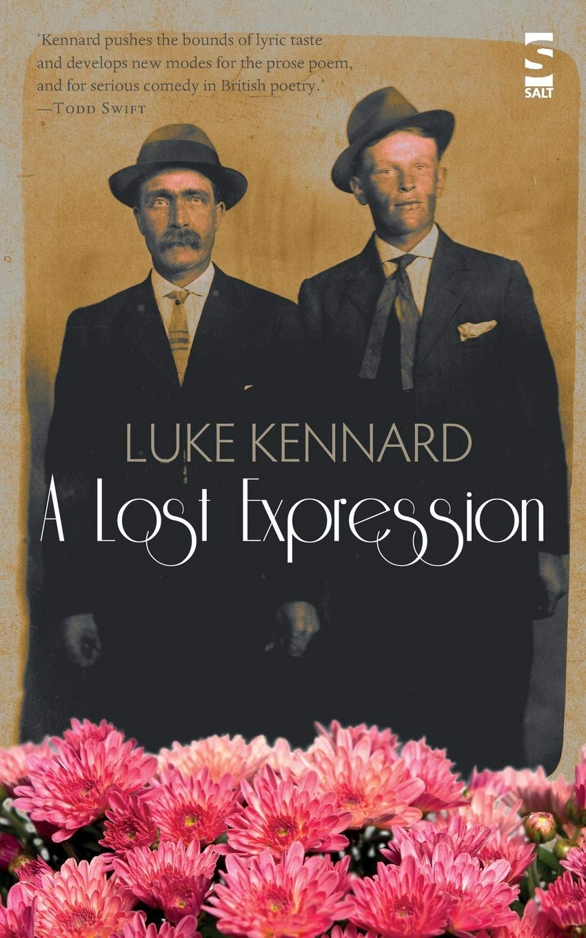 A Lost Expression (Salt Modern Poets)