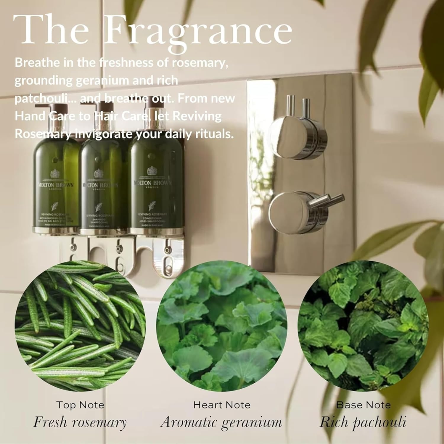 Molton Brown Reviving Rosemary Body Lotion 10 fl. oz. - Image 3