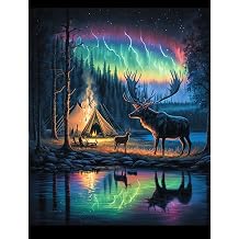 مجموعات الرسم الماسية من Aurora Borealis Forest Deer ، DIY 5D Camping Beautiful Full Diamond Dots Cross Stitch Kits for Adults & Kids & Relaxation & Home Wall Decor Gift 18x25 Inch