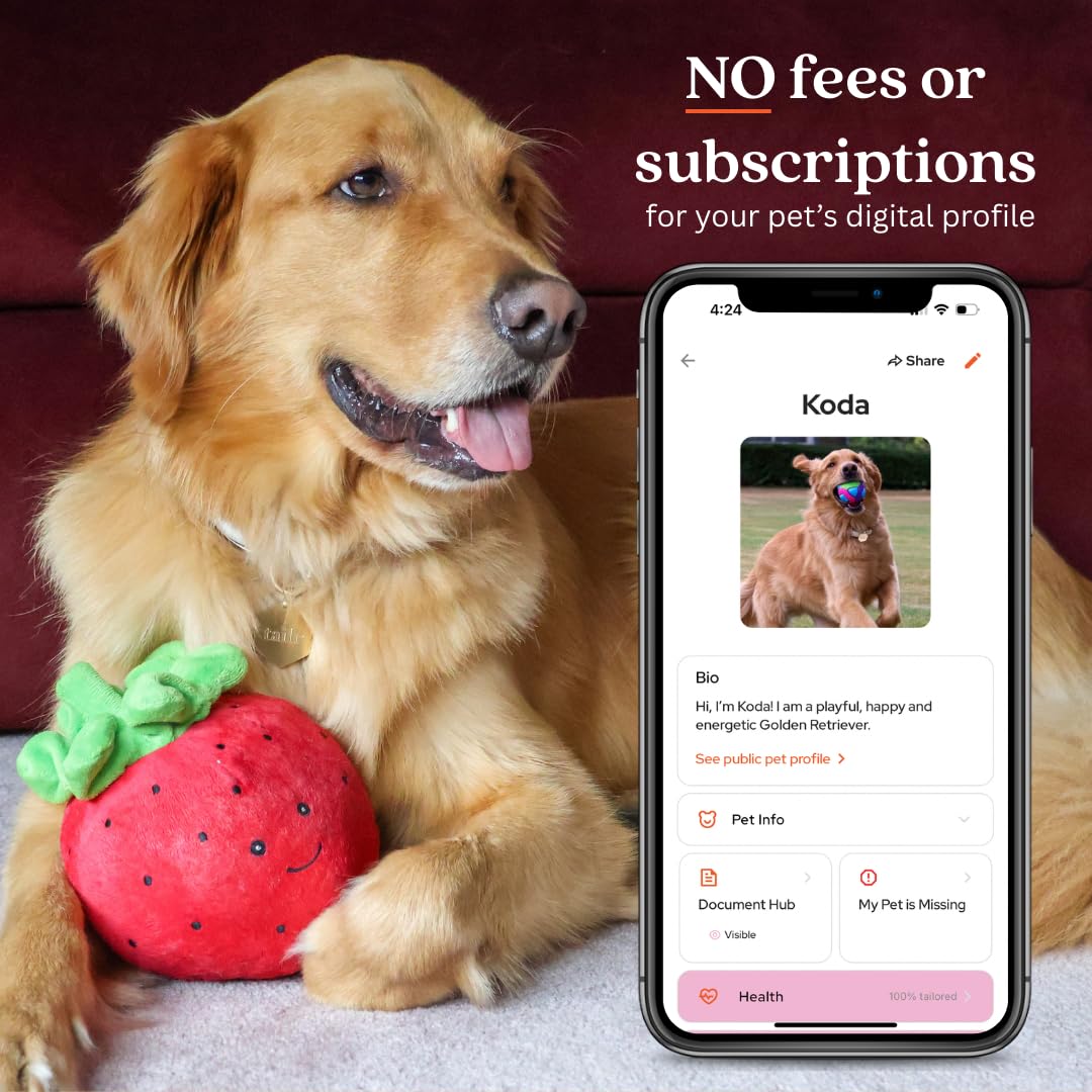 Medaglietta identificativa per animali domestici, con codice QR, medaglietta per cani di grandi dimensioni, etichetta per gatti, profilo personalizzato, include app gratuita per la gestione degli