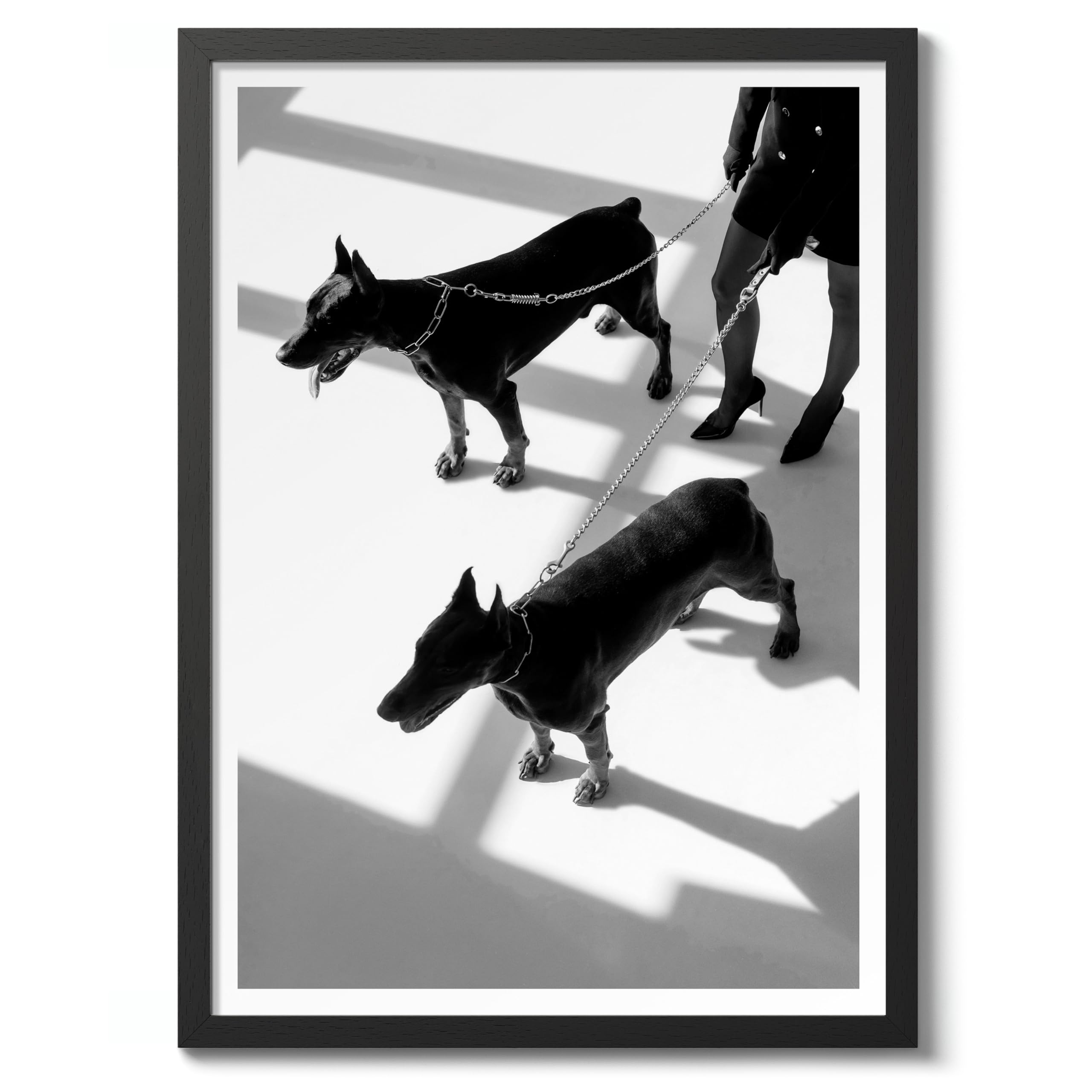 Dobermen Poster Black & White Vintage Photography Print Minimalist Modern Interior Decoration, Archival Matte, A1 (Black Frame) - 84.1x59.4cm