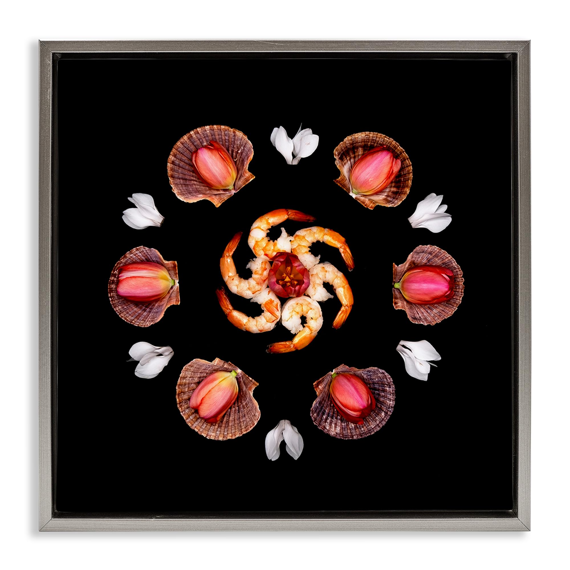 Stupell Industries 'Seashells & Tulips Symmetry', Floating Frame Canvas Art, Gray, 25 x 25 Inches, Easy to Hang and Sturdy, Made in USA, by Beth Adoette