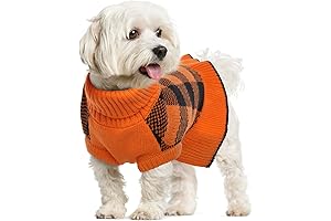 Lelepet Dog Sweater Dress: A Stylish Fall Essential for Your Furry Friend