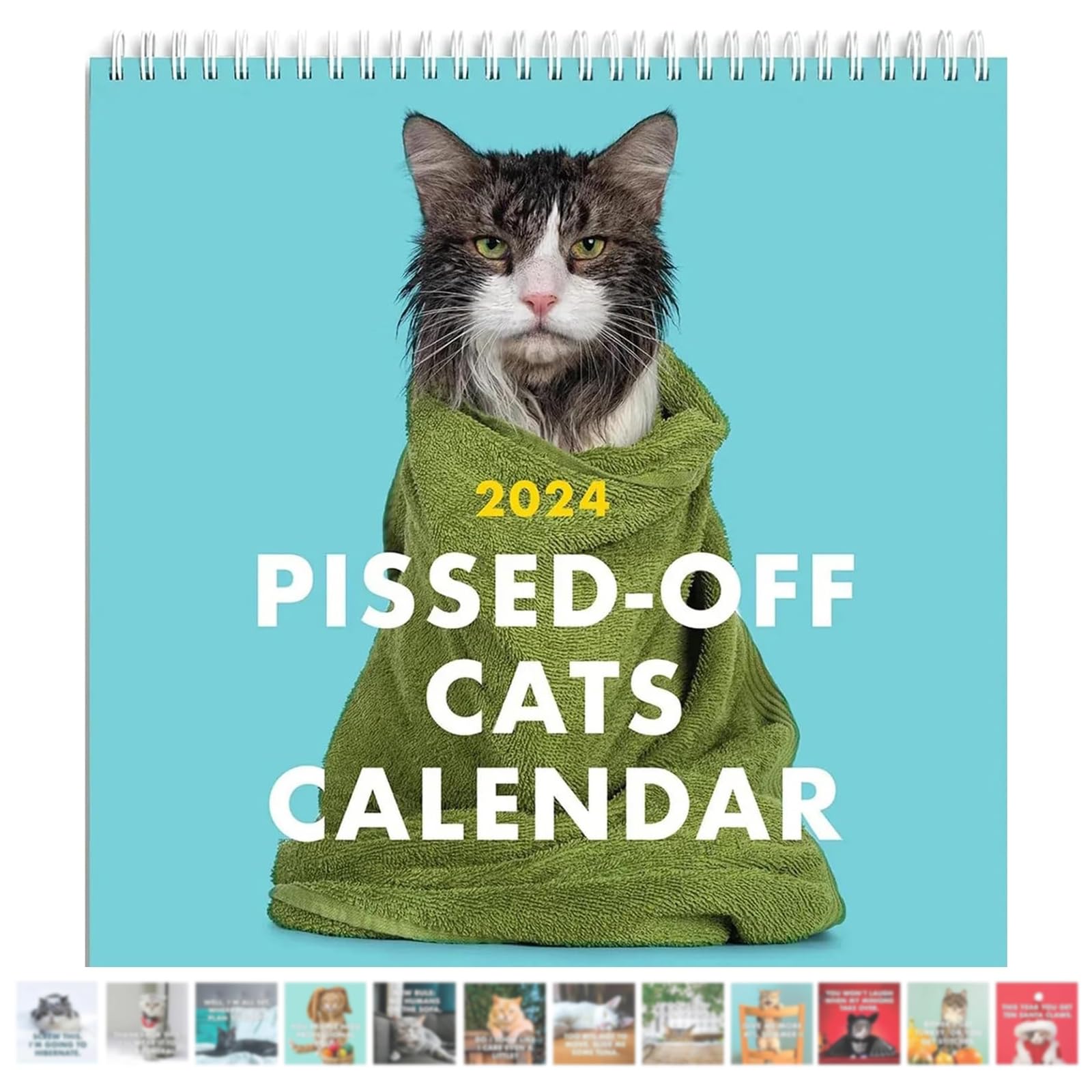 2024 Pissed Off Cats Calendar Wall Calendar 2024 Calendar Month to View Angry Fun Cats Family Wall Planner with Hanging Hook Family Monthly Planner Organiser for Home Business Office School (Style-1)