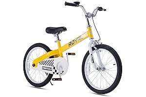 RoyalBaby 20 Inch Bike, Best Kids Bike with Training Wheels and Wide...