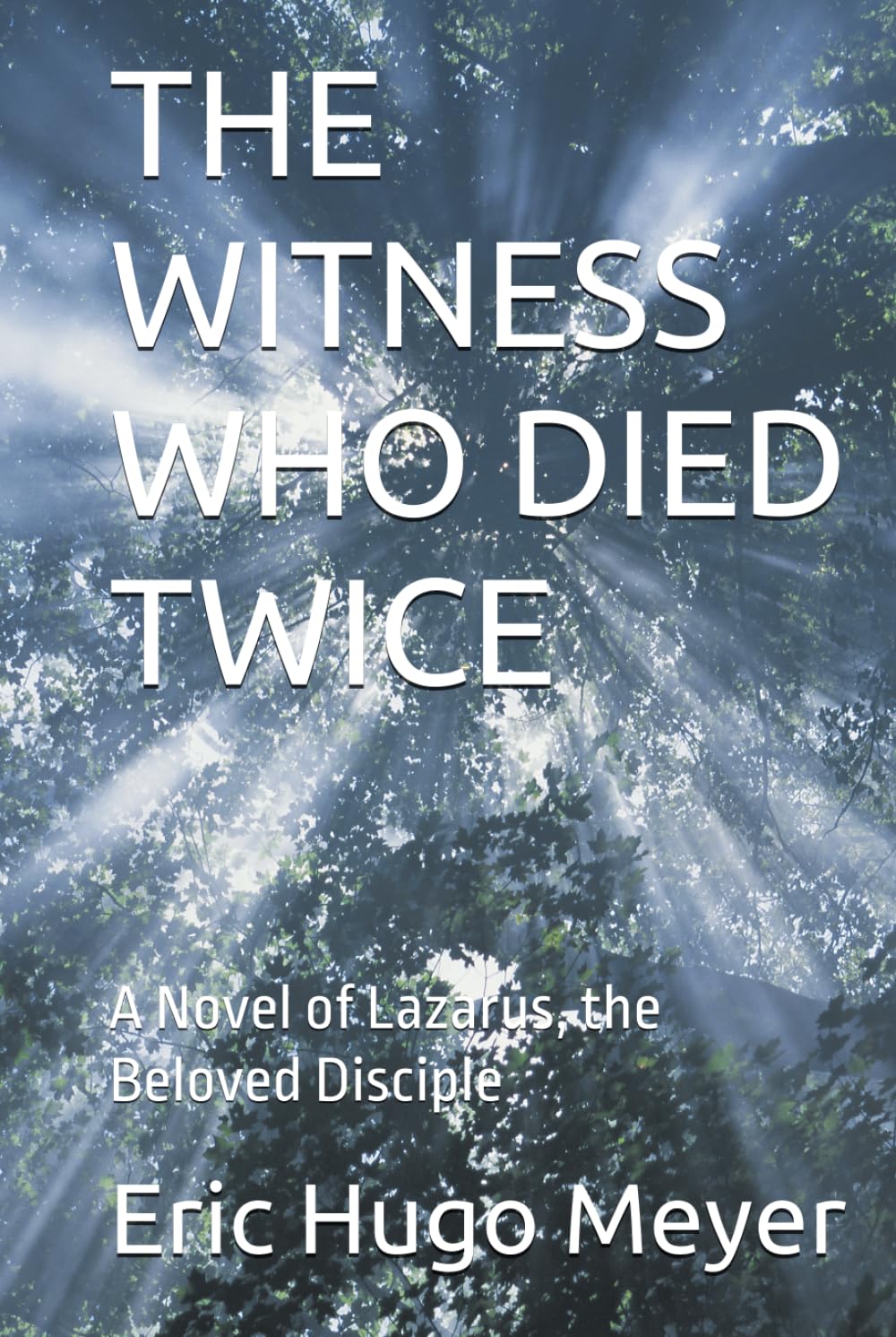 THE WITNESS WHO DIED TWICE: A Novel of Lazarus, the Beloved Disciple (The Wait is Broken)