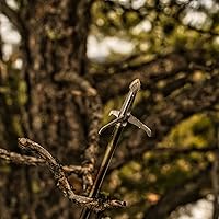 Vista 4 de New Archery Products - Punta de caza para ballesta y ballesta Spitfire, 3 unidades, 100 granos Maxx