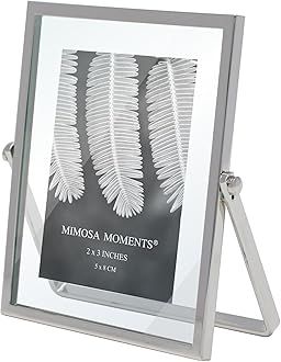 MIMOSA MOMENTS Metal Floating Picture Frame (Silver, 2x3)