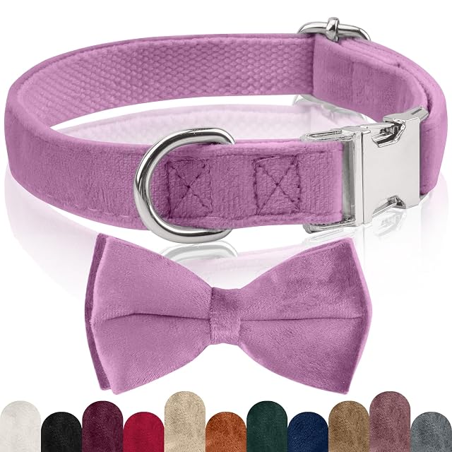 KTWSUEF Collar Perro Terciopelo,con Pajarita Perro Desmontable,Ajustable Comodidades Collar Perro…