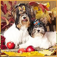 Vista 7 de 50 unidades/25 pares de lazos para el pelo de perro de Acción de Gracias con banda de goma a granel para otoño, moño para cachorros, perros, gatos