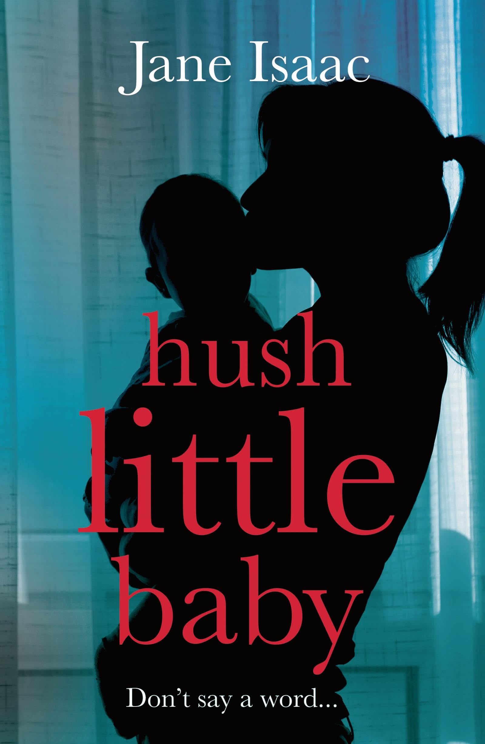 Hush Little Baby by Jane Isaac PAPERBACK 9781035905270
